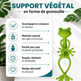 Support de plante