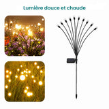 Lucioles solaires