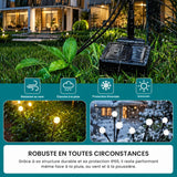 Lucioles solaires