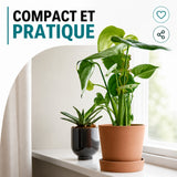 Support de plante