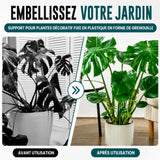 Support de plante