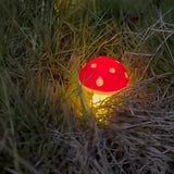 Champignons lumineux
