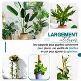 Support de plante