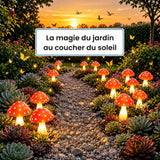 Champignons lumineux