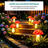 Champignons lumineux