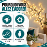 Guirlande led vigne 3