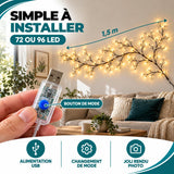 Guirlande led vigne photo 4